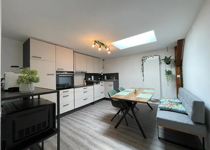 Zuarin Seeblick - Ganzes Direkt Am Schlossgarten Von Mit Dschungelfeeling Apartment *